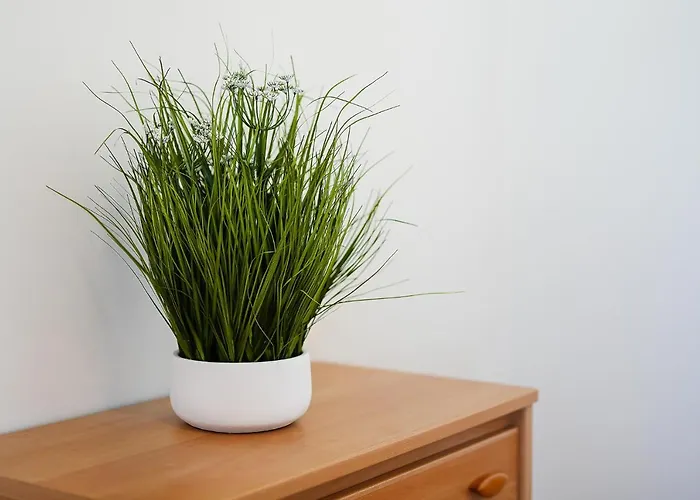 Comfy 4bdr In By Lovelystay * 波尔蒂芒